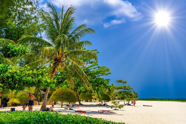 Palmy i piasek na plaży Malibu Koh Phangan wyspa Suratthani