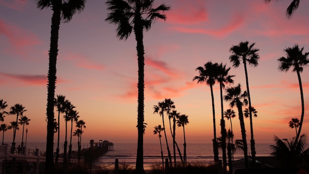 Palmy I Zmierzch Niebo W Kalifornii Usa Tropikalny Ocean Plaża Zachód Słońca Atmosfera Los Angeles Vibes