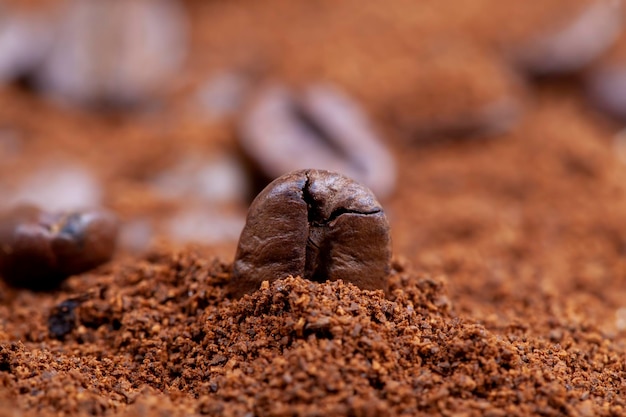 Palone ziarna kawy i pęczek mielonej naturalnej kawy