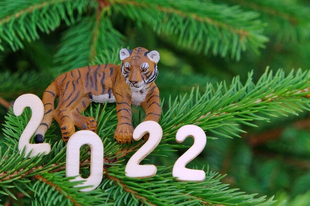 Zdjęcie pamiątkowy tygrys na drzewie sosnowym 2022 - liczba nadchodzącego roku tygrysa