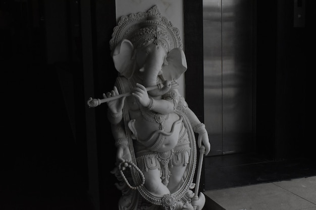 Zdjęcie pan ganesha