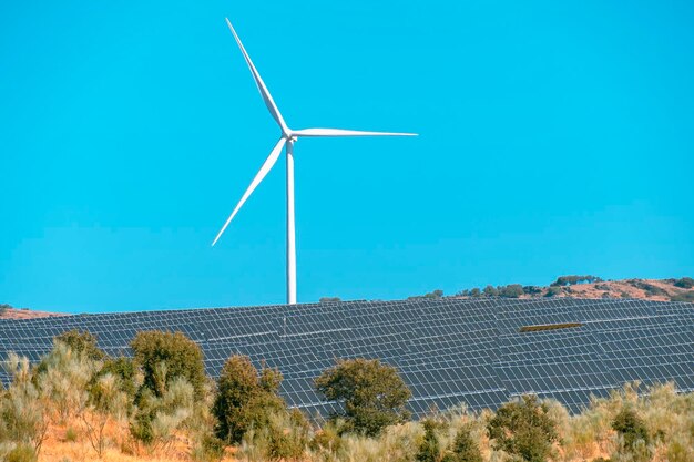 Panel energii słonecznej Ogniwo fotowoltaiczne i generator energii farmy turbin wiatrowych w krajobrazie przyrody