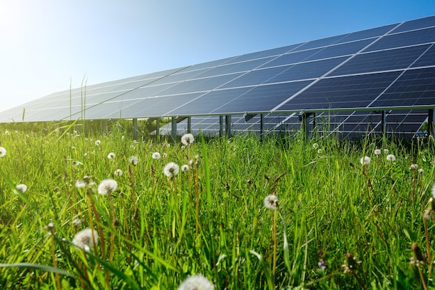 Panele słoneczne elektrownia fotowoltaiczna Alternatywne źródło energii elektrycznej Zielona i czysta energia