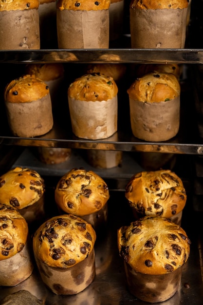 Panettone. Produkcja przemysłowa bożonarodzeniowego panettone