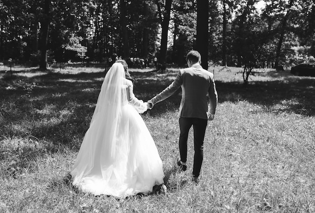 Panna młoda i pan młody trzymający się za ręce w parku Szczęśliwa para spacerująca razem Zdjęcie dnia ślubu Historia miłosna Piękna sukienka z długim rękawem Koronkowy welon