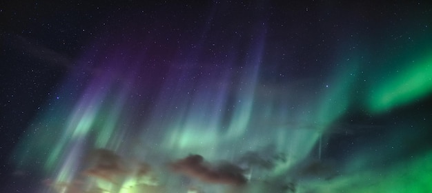 Panorama Aurora Borealis, zorza polarna z rozgwieżdżonym nocnym niebie na kole podbiegunowym w Norwegii