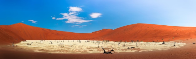 Panorama czerwonych wydm i martwych cierni wielbłądów w Deadvlei Namibia