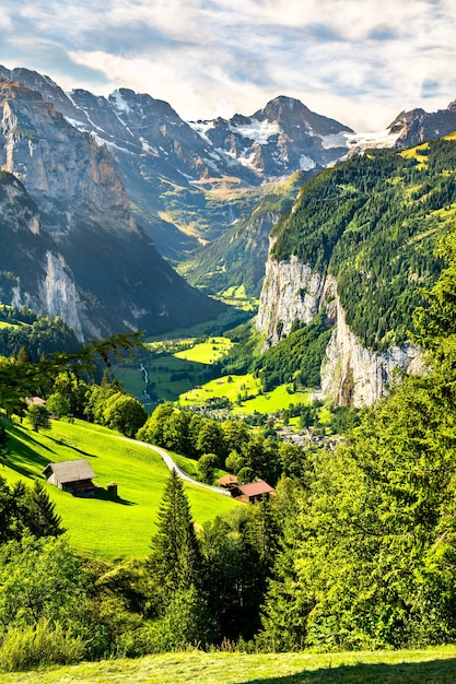 Panorama doliny Lauterbrunnen z Wengen w Alpach Szwajcarskich