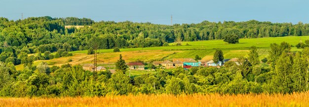 Panorama Glazovo, typowej wioski na Wyżynie Środkowo-Rosyjskiej, obwód Kursk w Rosji