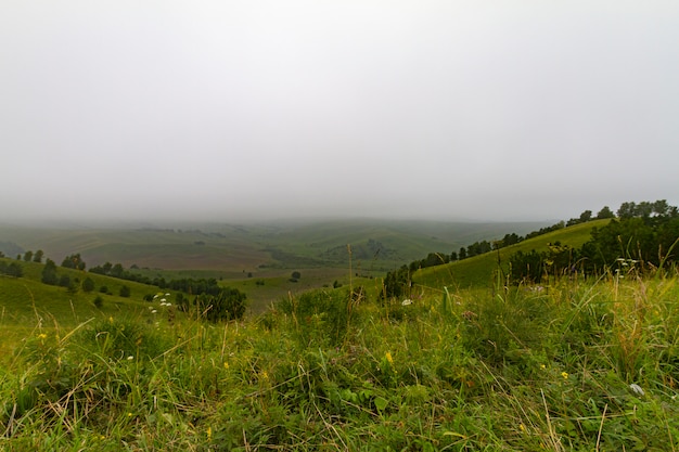 Panorama gór Ałtaj