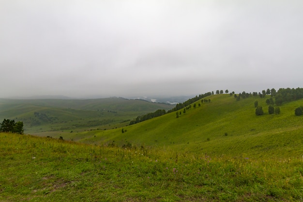 Panorama gór Ałtaj