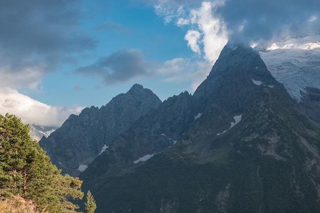 Panorama gór i sceny leśnej w parku narodowym Dombay, Kaukaz, Rosja. Letni krajobraz i słoneczny dzień