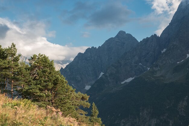 Panorama gór i sceny leśnej w parku narodowym Dombay, Kaukaz, Rosja. Letni krajobraz i słoneczny dzień