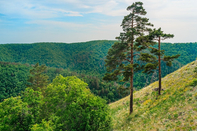 panorama gór z gęstym lasem nad Wołgą