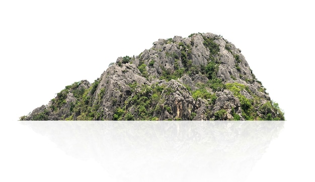 Panorama Górska Z Izolowanym Drzewem