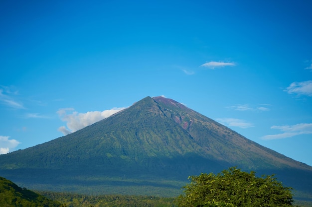 Panorama góry Agung i pól ryżowych na wyspie Bali Widok góry na tle palm i pola kukurydzy Panorama wulkanu Agung pokrytego chmurami w słoneczny dzień