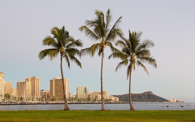 Panorama Hawajów Waikiki Honolulu