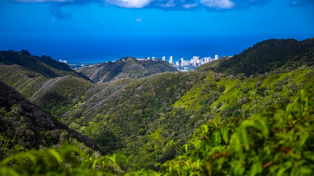 Zdjęcie panorama hawajskiej wyspy oahu i honolulu widziana ze szczytu grzbietu wiliwilinui