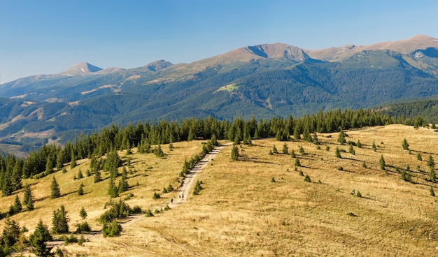 Panorama Karpackich gór w lato słonecznym dniu