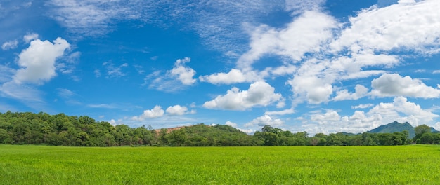 Panorama krajobraz widok zielonej trawy pole agenta błękitne niebo na wsi Tajlandii