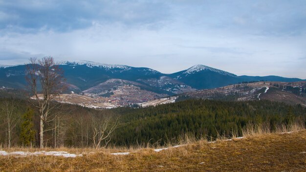 Panorama krajobraz z górami i lasem sosnowym