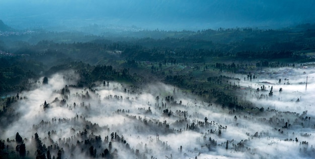 Panorama krajobrazu porannej mgły