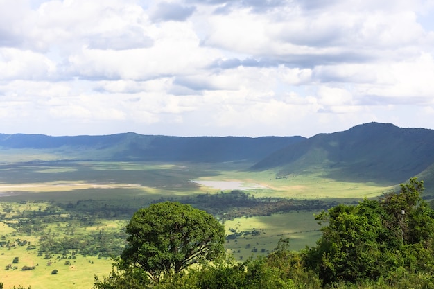 Panorama Krateru Ngorongoro. Jezioro Znajduje Się Wewnątrz Krateru. Tanzania, Afryka