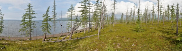 Panorama Lake na płaskowyżu Putorana
