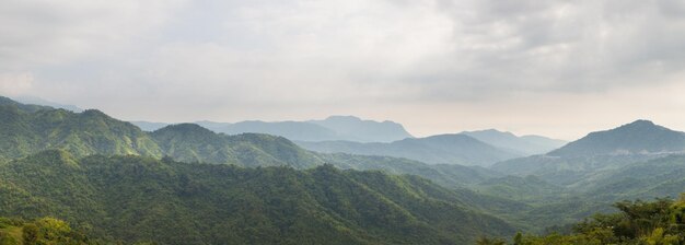 panorama lasów i gór