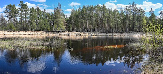 Panorama leśnej rzeki w parku narodowym