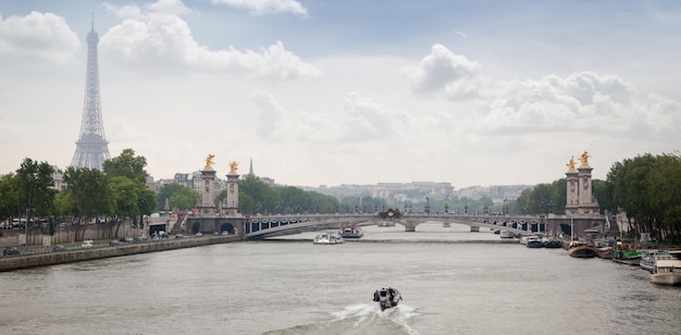 Panorama mostu Aleksandra III i wieży Eiffla w Paryżu we Francji