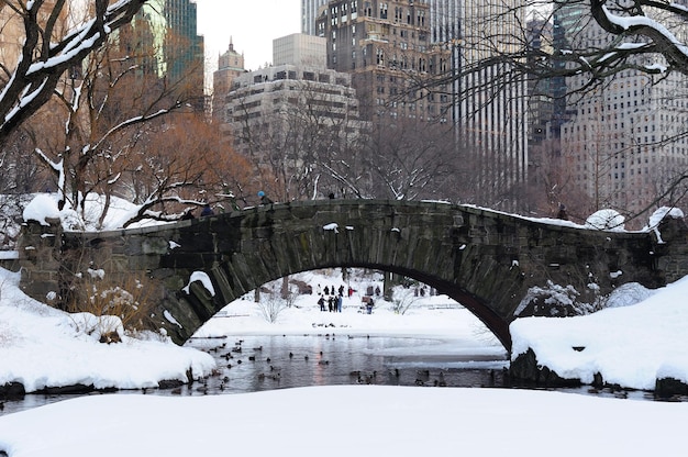 Panorama Nowego Jorku Na Manhattanie O Zmierzchu