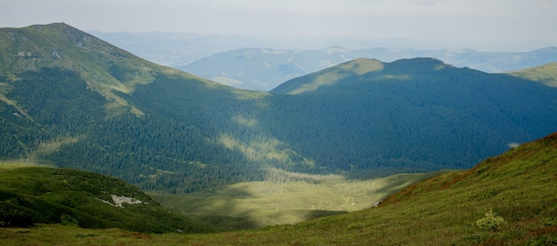 Zdjęcie panorama pasma górskiego karpat w letni poranek. piękno dzikiej, dziewiczej ukraińskiej przyrody