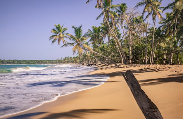 Panorama pięknej i naturalnej plaży Playa Limon na Dominikanie