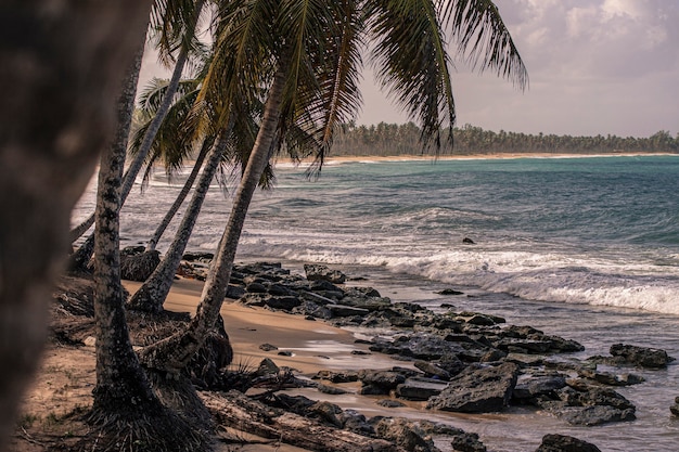 Panorama pięknej i naturalnej plaży Playa Limon na Dominikanie