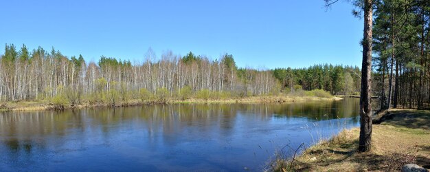 Panorama rzeki wiosną