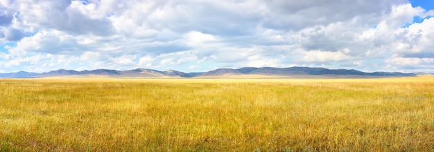 Panorama Stepu Na Tle Pasm Górskich Na Horyzoncie Pod Zachmurzonym Niebem