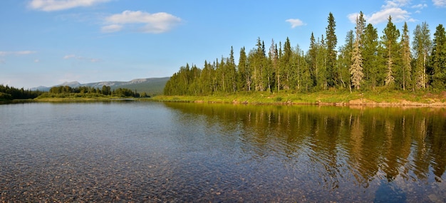 Panorama Tajgi W Parku Narodowym