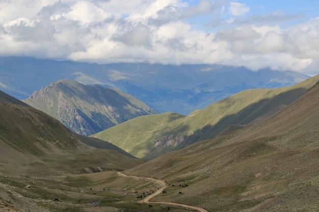 Panorama widok gór scen w parku narodowym Dombay, Kaukaz, Rosja, Europa. Dramatyczne błękitne niebo i słoneczny letni krajobraz