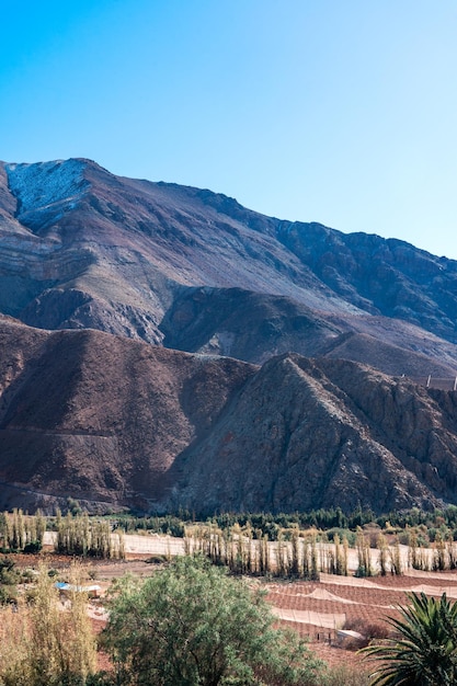 Panorama winnic i zaśnieżonych gór zimą w Valle del Elqui