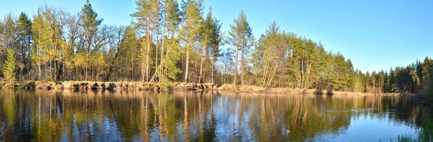 Panorama wiosennej rzeki