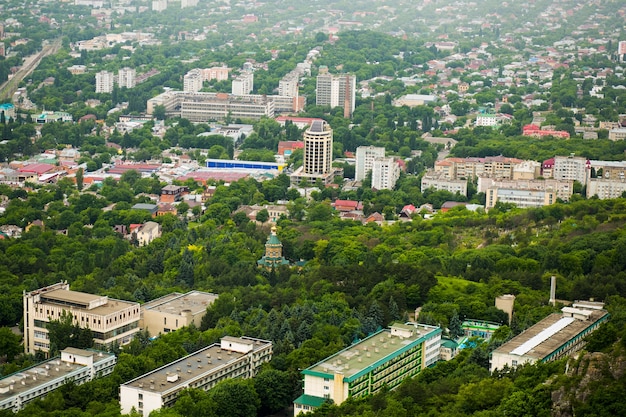 Panorama zielonego miasta latem