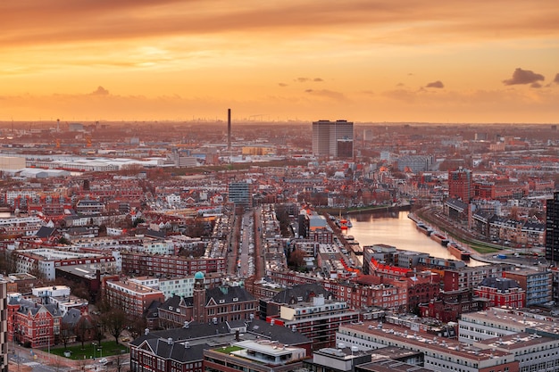 Panoramę Holandii w Rotterdamie