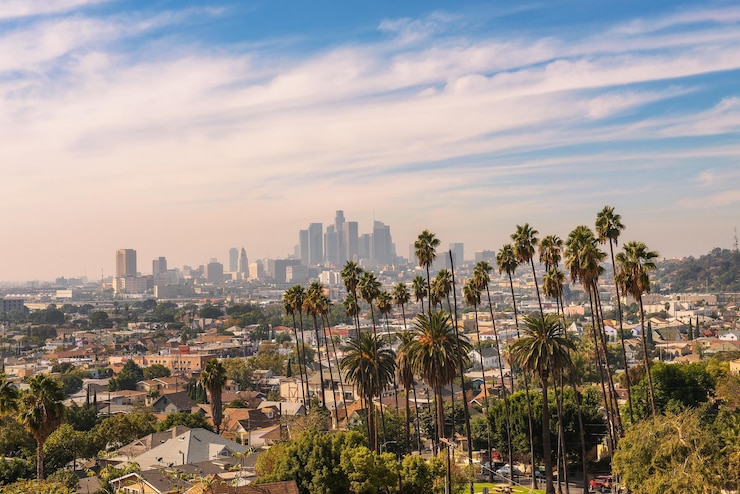Zdjęcie panoramę los angeles o zachodzie słońca z palmami na pierwszym planie