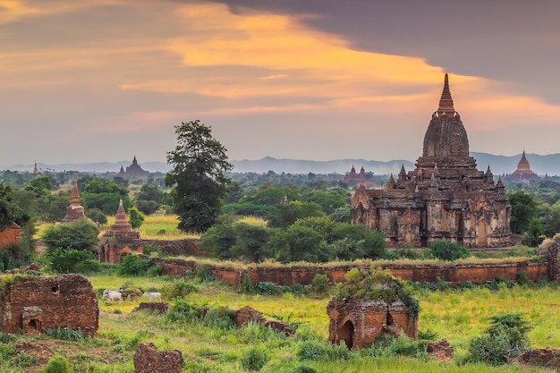 Panoramę miasta Bagan w centrum miasta Myanmar o zachodzie słońca