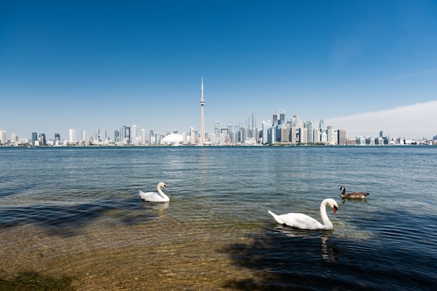 Panoramę Miasta Toronto, Ontario, Kanada