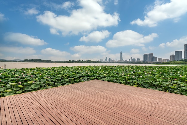 Panoramę Nowoczesnej Architektury Miejskiej W Nanjing