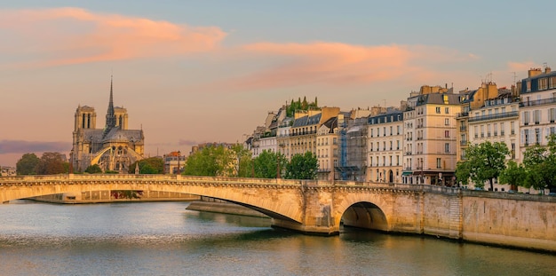 Panoramę Paryża z Notre Dame de Paris cathedra pejzaż miejski Francji