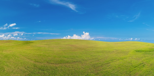 Panoramiczna zielona trawa na polu golfowym, panorama zielonego pola trawy
