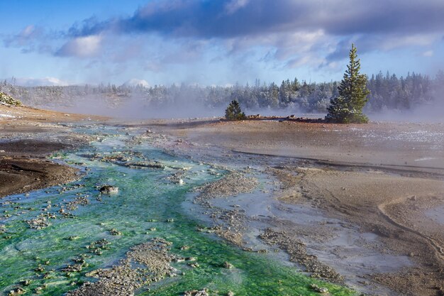 Zdjęcie panoramiczne ujęcie drzew na brzegu na tle nieba